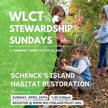 Event Tree Planting & Invasive Removal - Stewardship Sundays at Schenck's Island