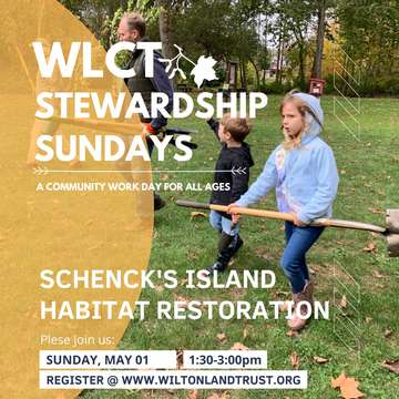Event Tree Planting & Invasive Removal - Stewardship Sundays at Schenck's Island