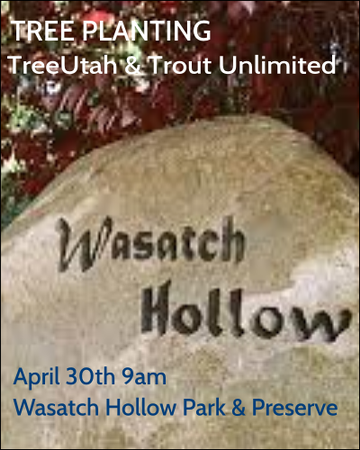 Event Tree Planting with TreeUtah and Stonefly Society at Wasatch Hollow