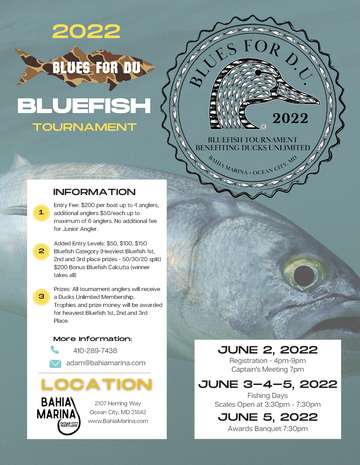 Event "Blues for DU" Bluefish Tournament