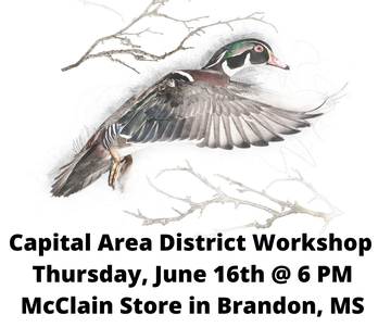 Event Capital Area District Meeting- Brandon
