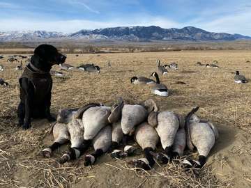 Event Thermopolis WY Ducks Unlimited Banquet