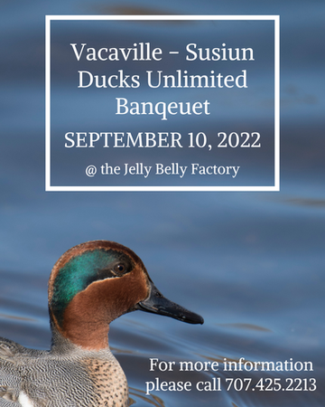 Event Vacaville - Suisun Marsh Ducks Unlimited Annual Dinner