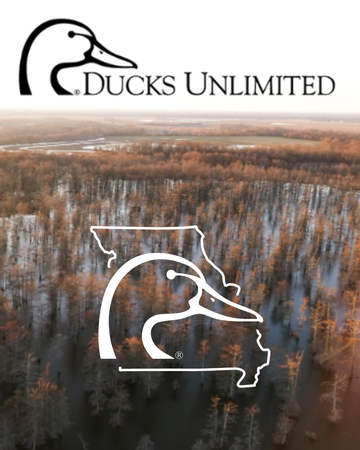 Event Missouri Ducks Unlimited License Plate