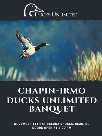 Event Chapin-Irmo Fall Dinner & Banquet: Irmo, SC: SOLD OUT