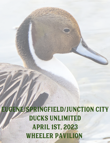 Event Eugene/Springfield Ducks Unlimited Banquet