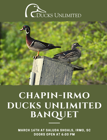 Event Chapin Irmo Annual Spring Banquet: Irmo, SC