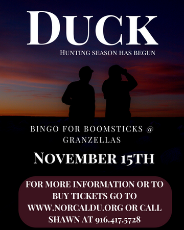 Event Granzellas - Bingo For Boomsticks - November 15th