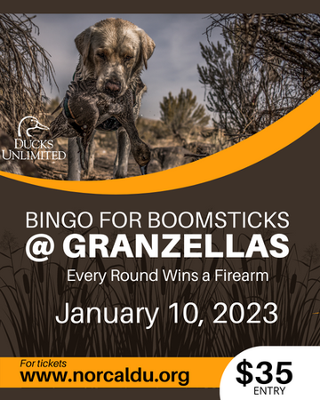 Event Bingo for boomsticks at Granzella's