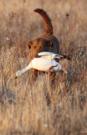 Event Western Nebraska