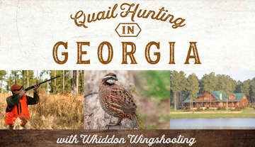 Event Win a Georgia Quail Hunt for Four!  Drawing Aug. 16th!