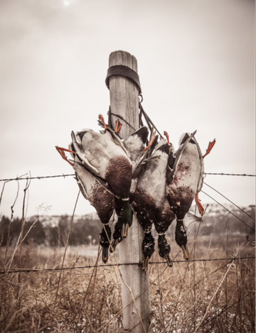 Event St. Lawrence Ducks Unlimited 5 Course Wild Game Dinner