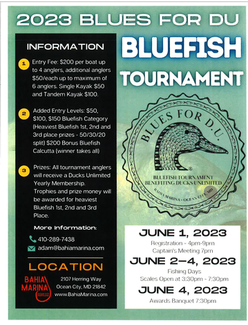 Event 2023 "Blues for DU" Bluefish Tournament