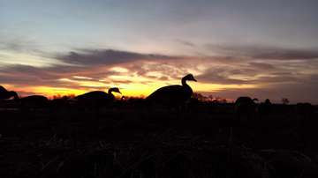 Event Casper Ducks Unlimited Banquet