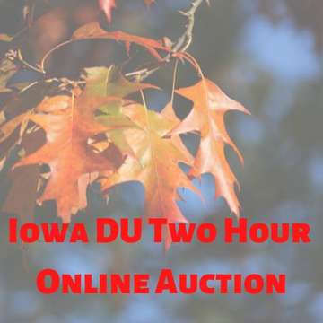 Event IA 2 Hour Online Auction- August 30, 2022