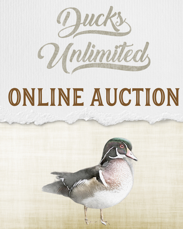 Event Online Auction - Fall 2022