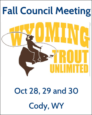 Event WYTU Fall Council Meeting