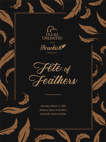 Event Fete of Feathers: Featuring Brackish and Ducks Unlimited, Greenville, SC