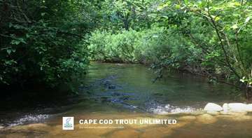 Event Cape Cod Trout Unlimited - Chapter Meeting