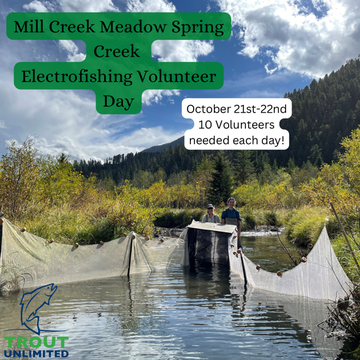 Event Electrofishing on Mill Creek Meadow Spring Creek (MT)