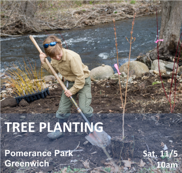 Event Pomerance Park Tree Planting