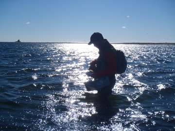 Event Fishing Milford Point Sunday, Oct. 30