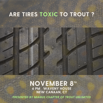 Event November Chapter Gathering: Are Tires TOXIC to Trout?! New Research Raises Alarms