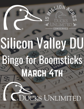 Event Silicon Valley DU Bingo for Boomsticks