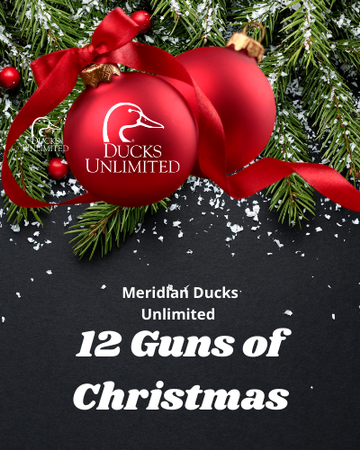 Event Meridian 12 Guns of Christmas Raffle