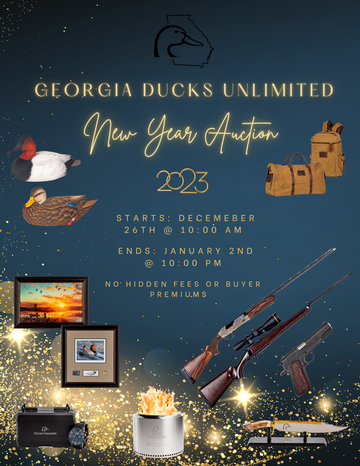 Event GA DU New Year's Online Auction