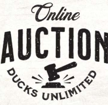 Event "Out With The Old, In With The New" - ONLINE AUCTION