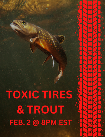 Event Toxic Tires & Trout: The Research, Impact and Next Steps 