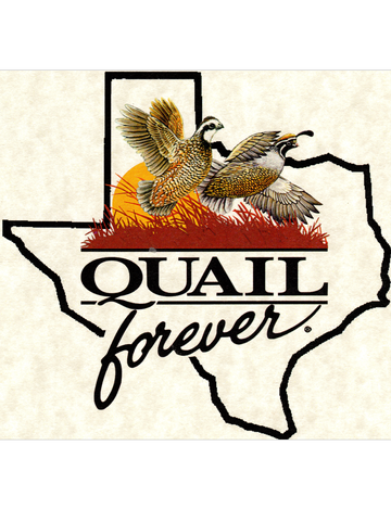 Event Waco (Heart o' Texas) Chapter Restart (Virtual)