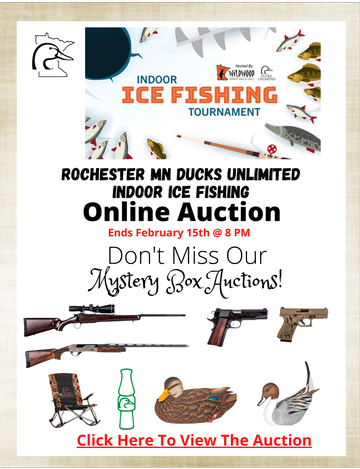 Event Rochester Online Auction