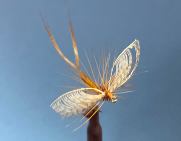 Event Brodhead Fly Tyers
