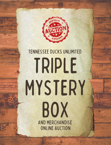 Event Triple Mystery Box Online Auction 