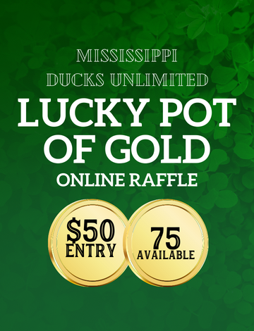 Event Lucky Pot of Gold Online Raffle