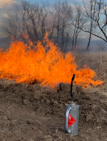Event Introduction to Prescribed Fire with Native Resource Preservation