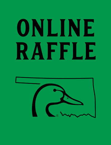 Event St Patty's Day Raffle