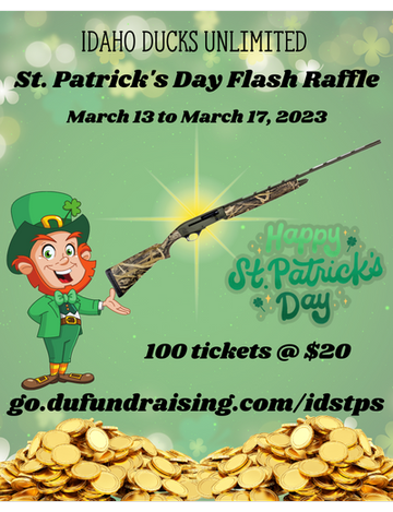 Event Vandal Chapter St Patricks Day Online Flash Raffle