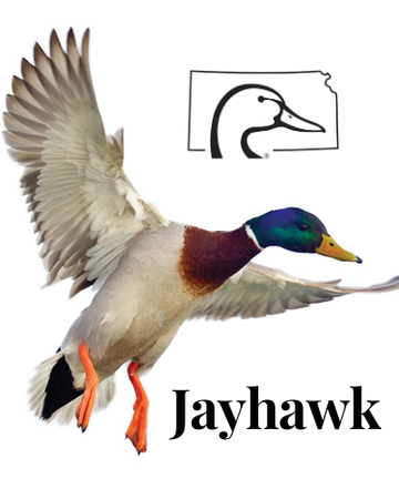 Event Jayhawk Ducks Unlimited Happy Hour (Lawrence) - FREE!!