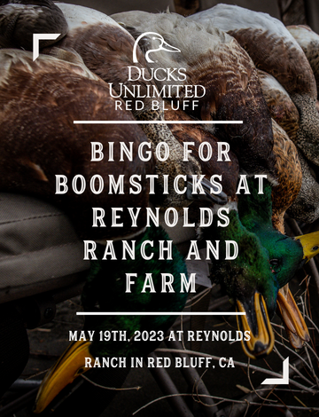 Event Bingo for Boomsticks at the Reynolds Ranch
