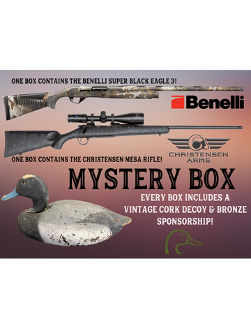 Event North Suburban Chapter Online Mystery Box Auction