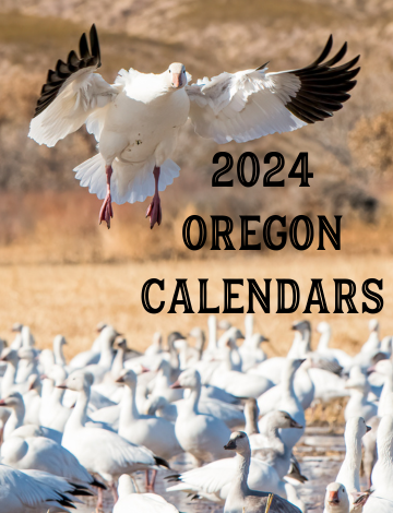 Event 2024 Oregon Calendar