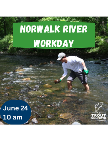 Event Norwalk River Habitat Restoration - Volunteer Workday
