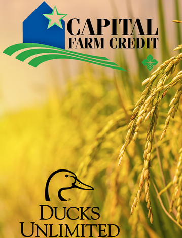Event 53rd Annual Ricebelt Dinner - El Campo, Texas - Presented by Capital Farm Credit 