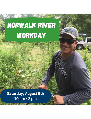 Event Norwalk River Habitat Restoration - Volunteer Workday