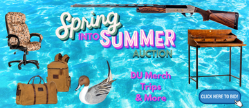 Event Spring Into Summer Auction