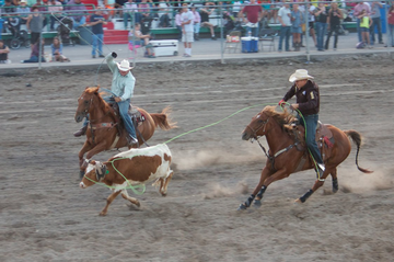 Event Thursday Rodeo @ the NW Montana Fair