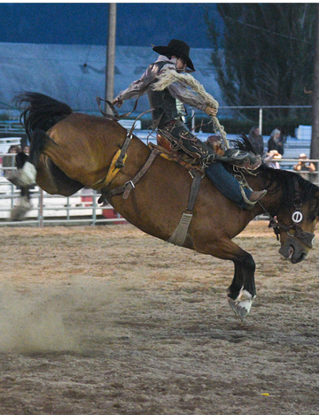 Event Friday Rodeo @ the NW Montana Fair